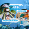Автобусный тур. 