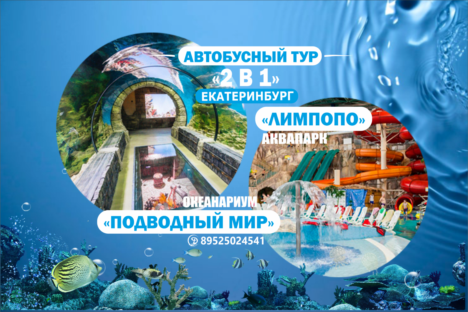 Автобусный тур. «ДВА В ОДНОМ»