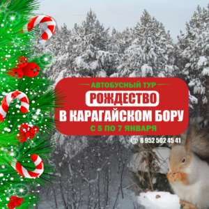 Автобусный тур. "Рождество в Карагайском бору"