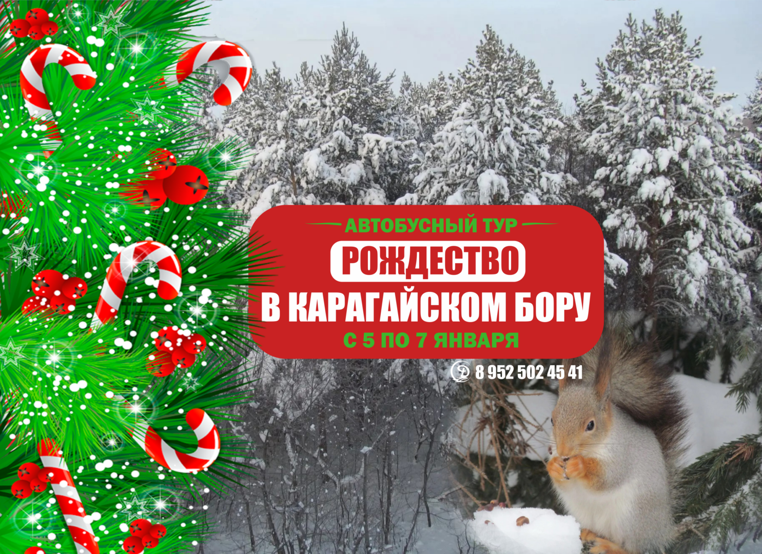 Автобусный тур. «Рождество в Карагайском бору»